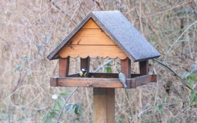 Natur erleben im Winter